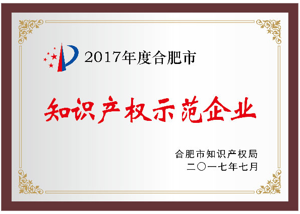 2017年度合肥市知識產權示范企業(yè)