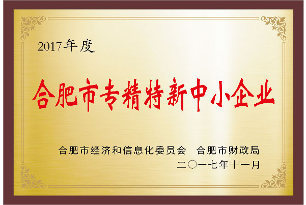 2017年度合肥市專精特新中小企業(yè)