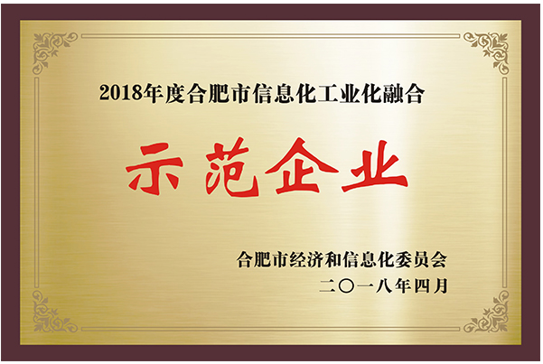 2018年度合肥市信息化工業(yè)化融合示范企業(yè)