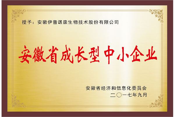安徽省成長型中小企業(yè)