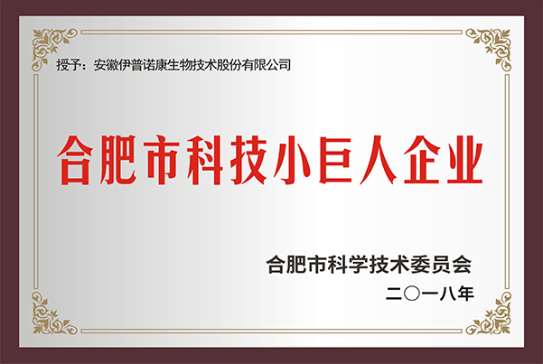 合肥市科技小巨人企業(yè)