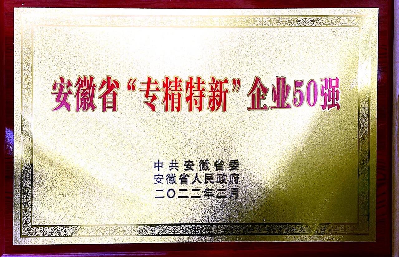 安徽省“專(zhuān)精特新”企業(yè)50強(qiáng)（2）