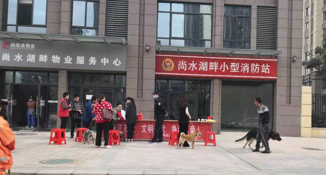 文明养犬，共建和谐新社区