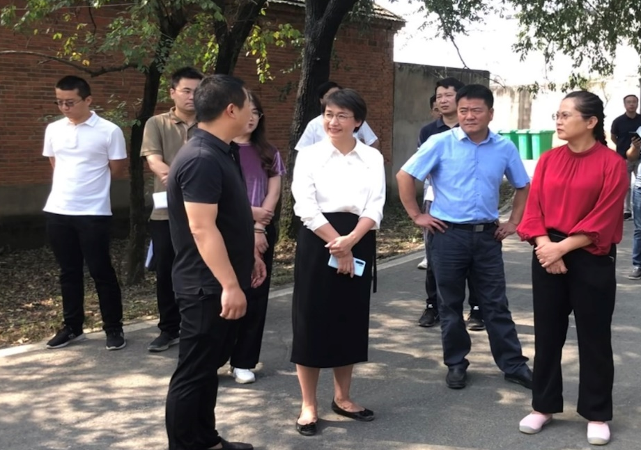 区领导实地调研乡村振兴工作