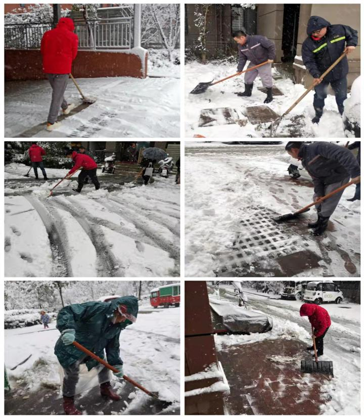银装素裹扮园区 挥汗除雪在第一