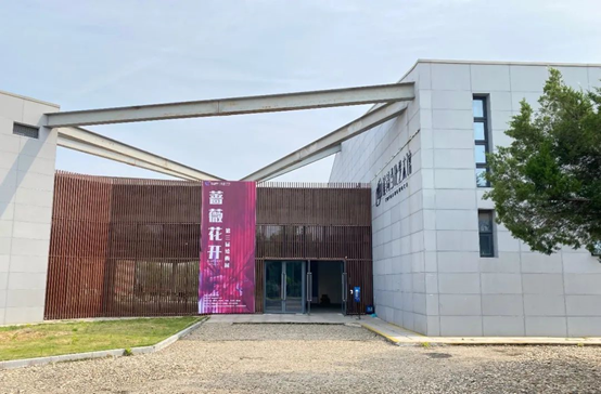 乡村振兴公司举办崔岗“蔷薇花开”绘画联展