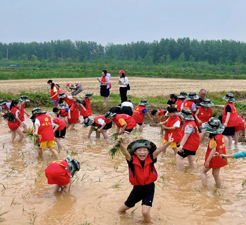 小农夫插秧初体验 研学可以这么玩