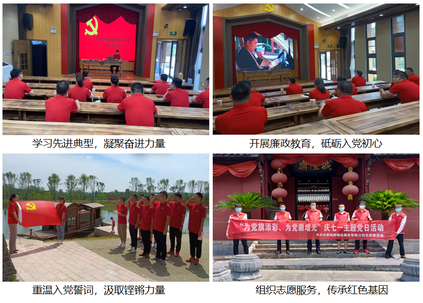 城新物业党支部开展“为党旗添彩、为党徽增光” 主题党日活动